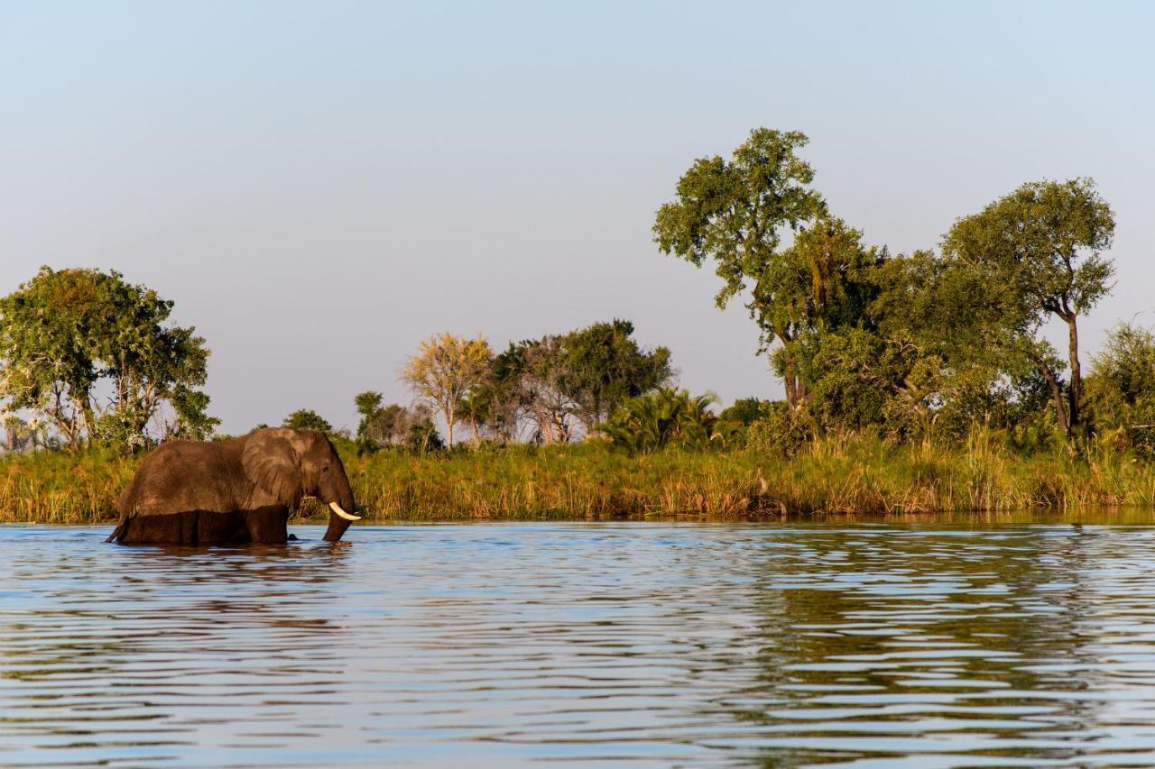 Kubu Queen Houseboat Hotell Shakawe Eksteriør bilde